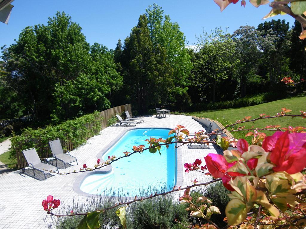 Stannards Guest Lodge Knysna Extérieur photo