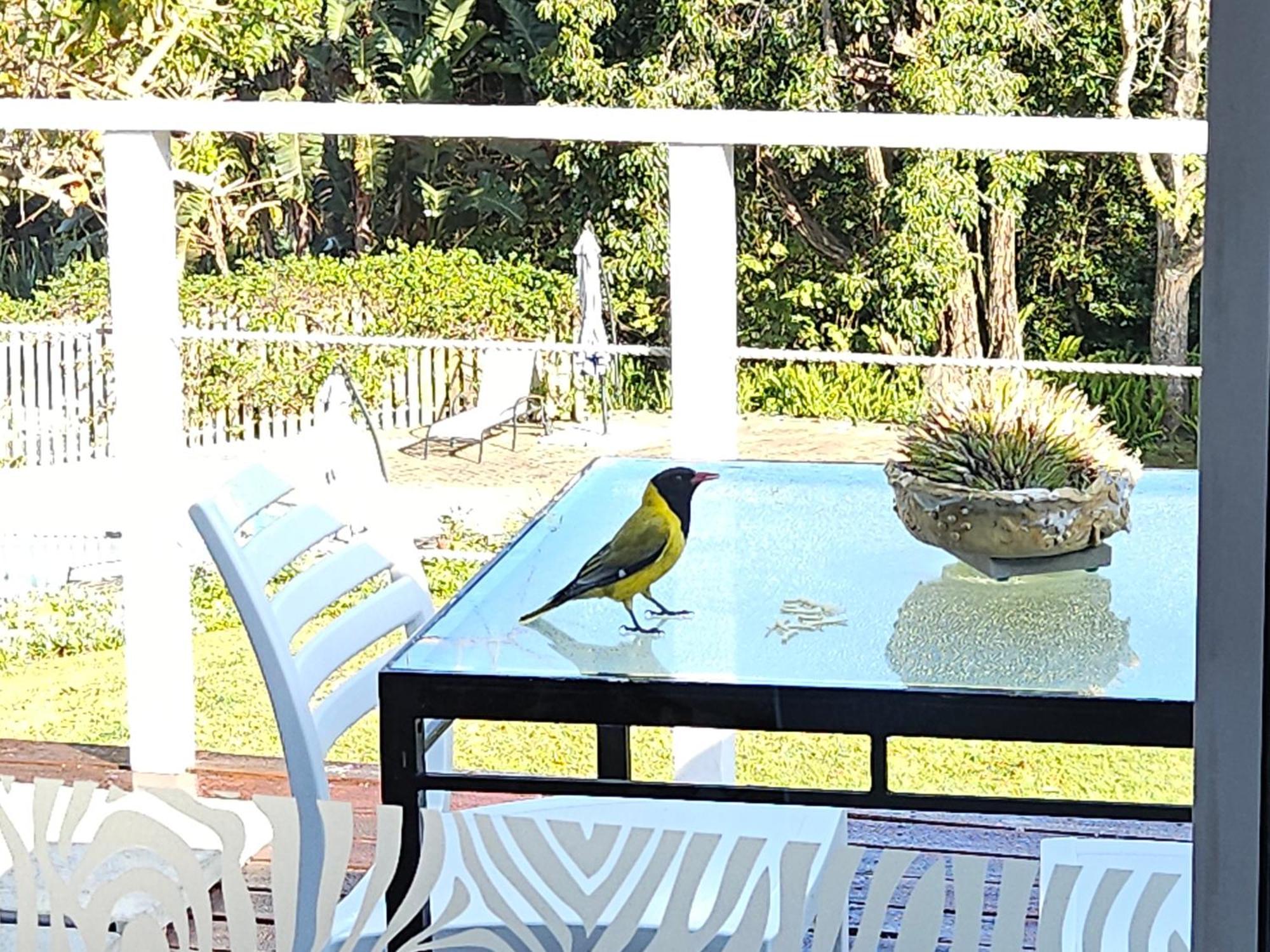 Stannards Guest Lodge Knysna Extérieur photo