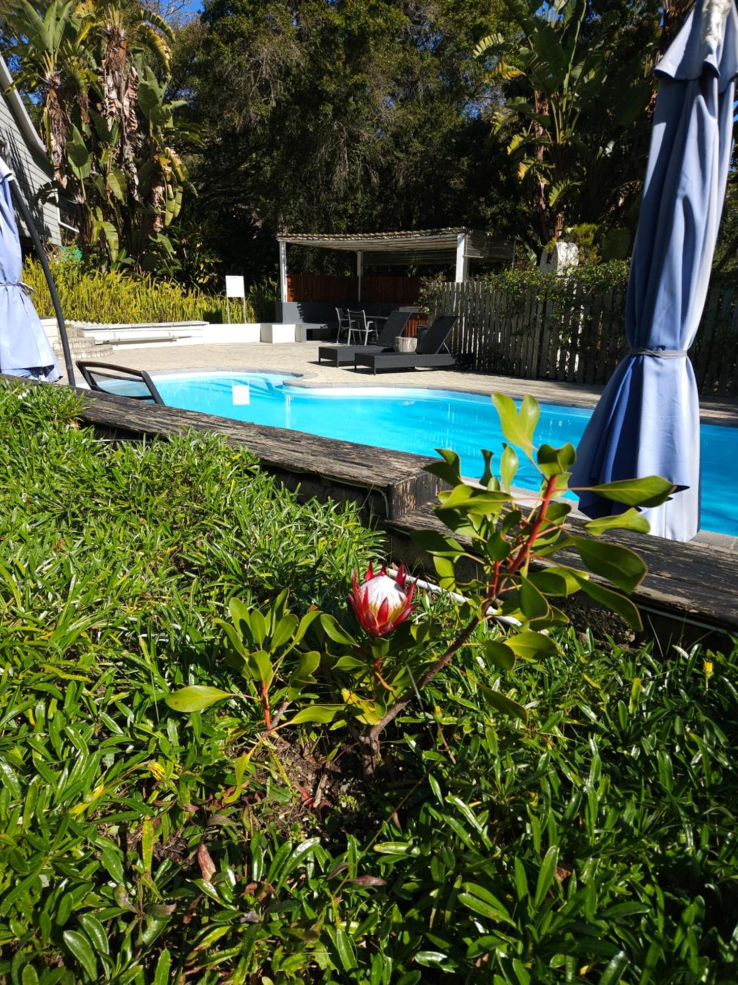 Stannards Guest Lodge Knysna Extérieur photo